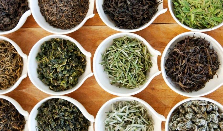 Критерии выбора зеленого чая