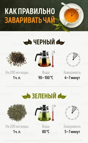 Как правильно заваривать обычный листовой чёрный чай дома?