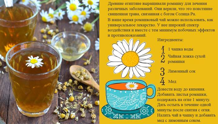 ᐉ как заваривать ромашку для питья - godacha.ru