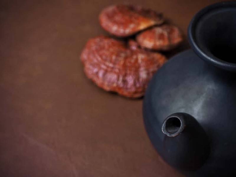 Чай с грибом Рейши – уникальный целебный напиток