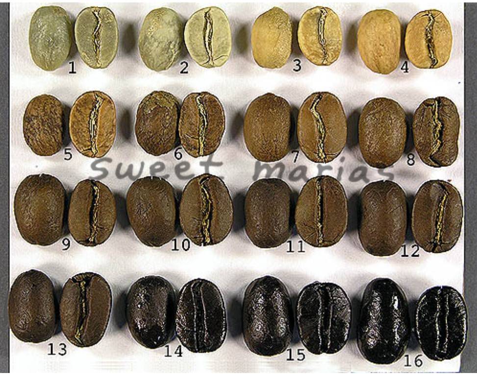 Как выбрать ростер для обжарки кофе