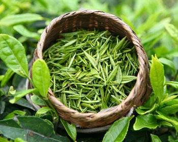 6 целебных свойств зеленого чая для мужчин, его польза и вред