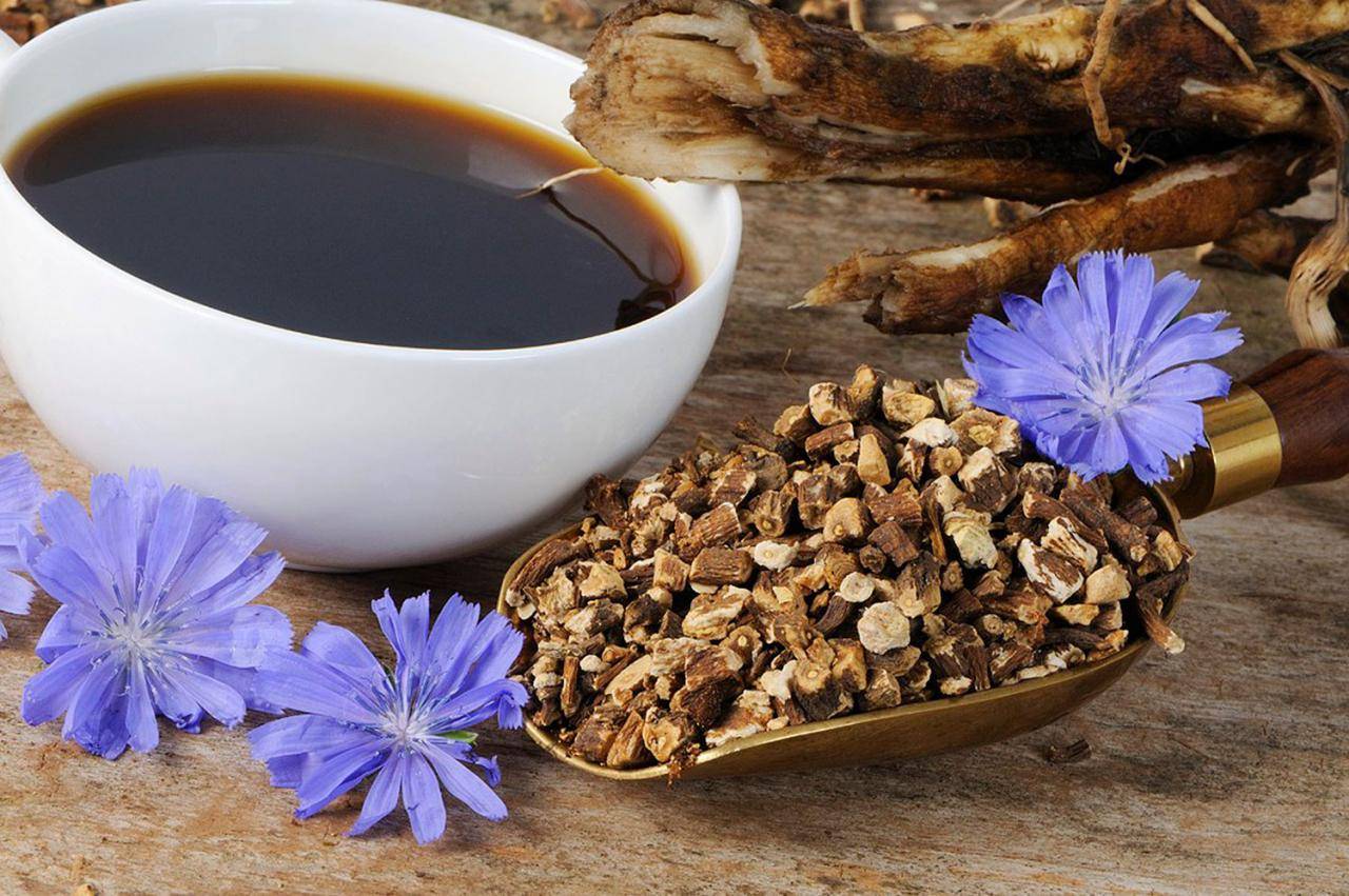 13 полезных перемен в самочувствии, которые вы испытаете, заменив кофе растворимым цикорием