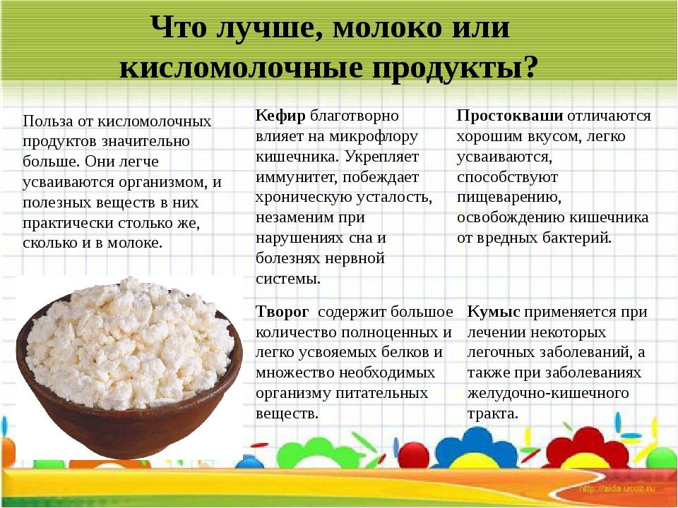 Наследство от бабушек: термостатные кисломолочные продукты - parents.ru