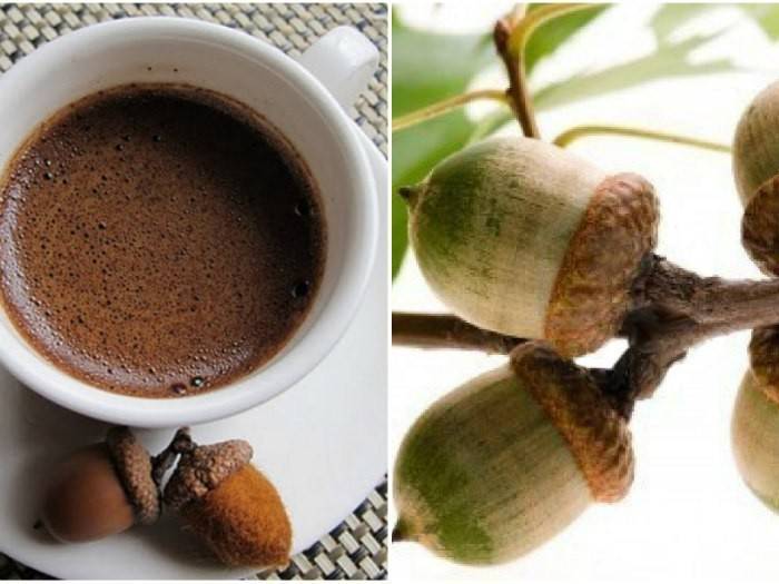Полезный кофе из желудей, рецепты и особенности