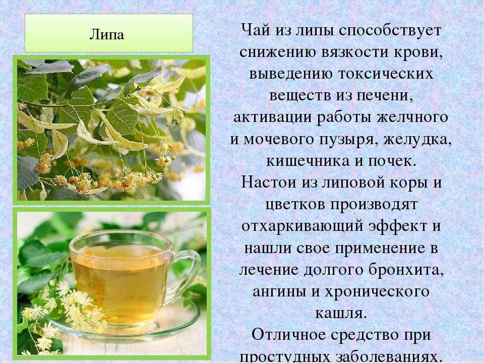 Иван-чай для мужского здоровья