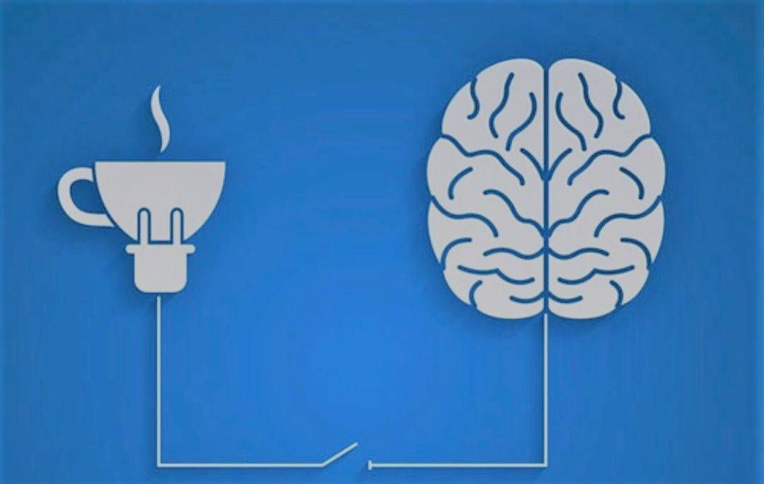 Пища для ума: продукты, улучшающие концентрацию и работу мозга | блог 4brain