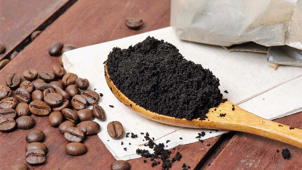 Как использовать кофейный жмых (гущу, спитой кофе)