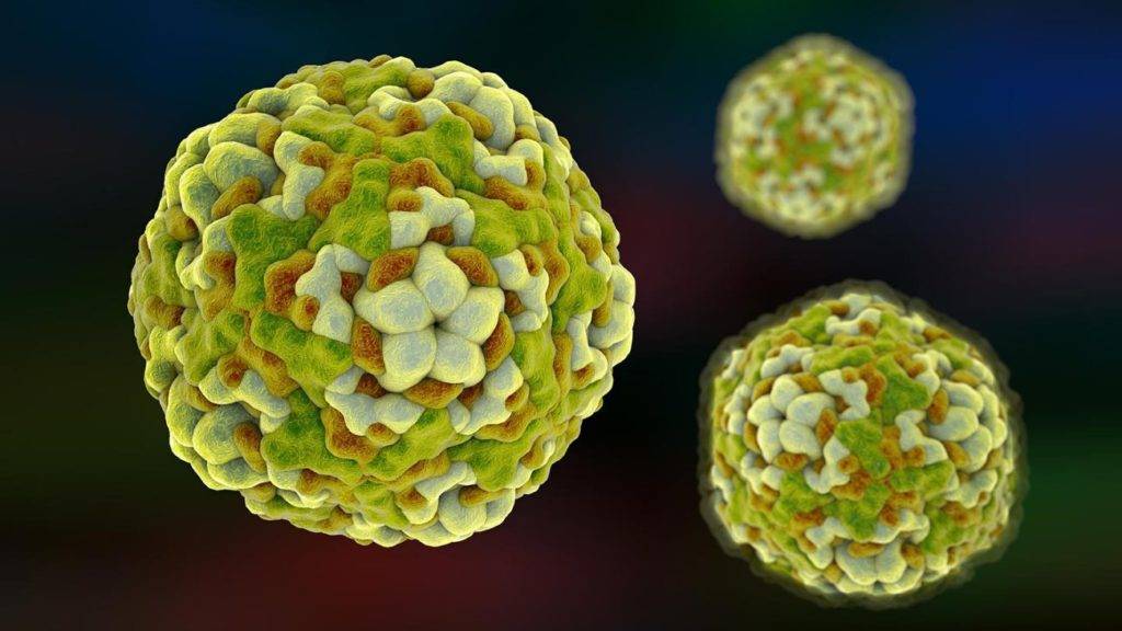 Совместимость кофе и таблеток