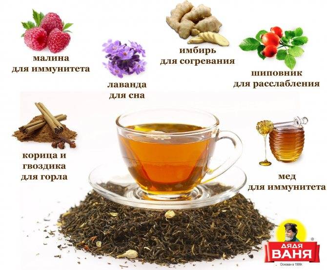 8 рецептов полезного чая из зверобоя