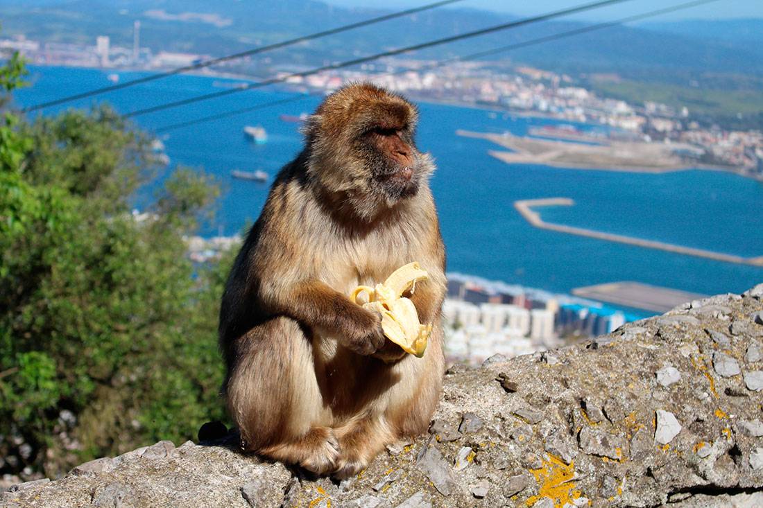Гибралтар (Gibraltar)