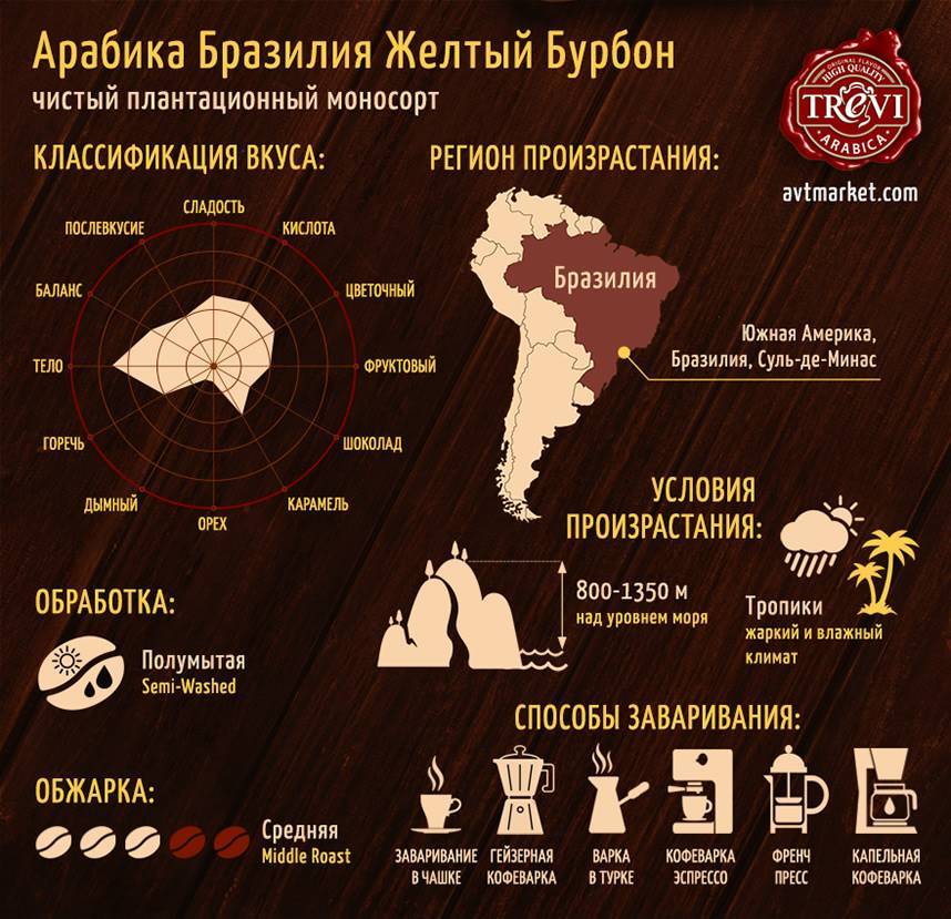 Никарагуанский кофе: характеристика, регионы, виды и сорта