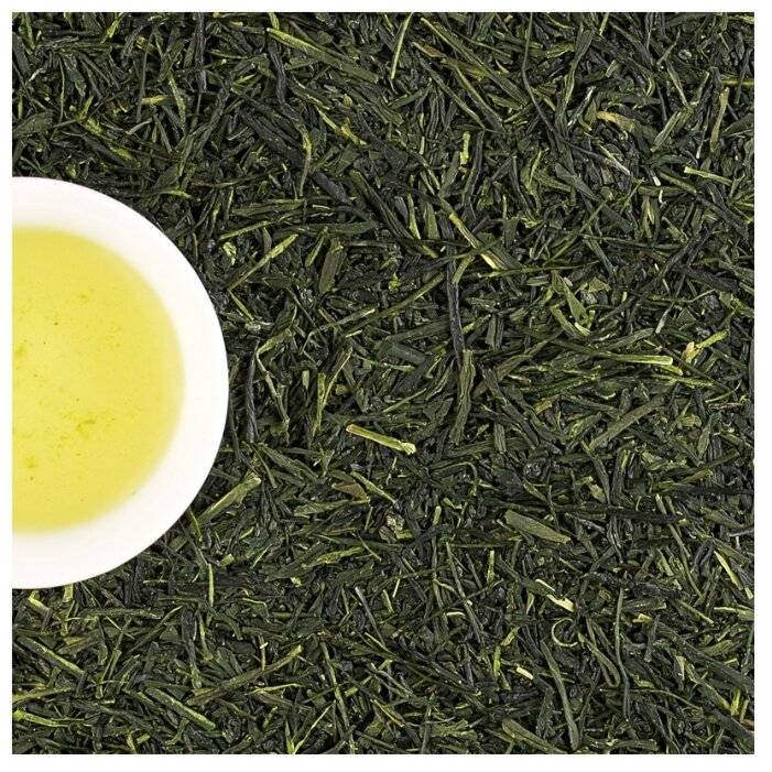 Самый популярный зеленый чай «сенча» из японии