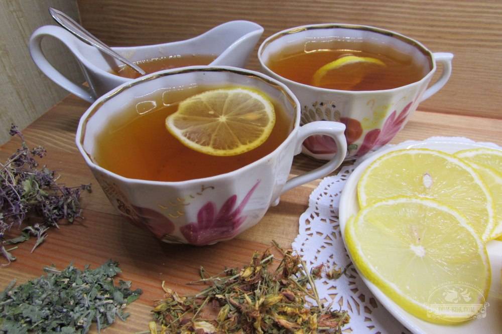 Чай из зверобоя: польза и вред, свойства и особенности применения