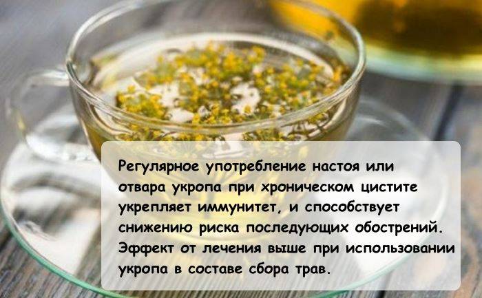 Как приготовить сбитень: рецепты по‑настоящему русского напитка. новости общества