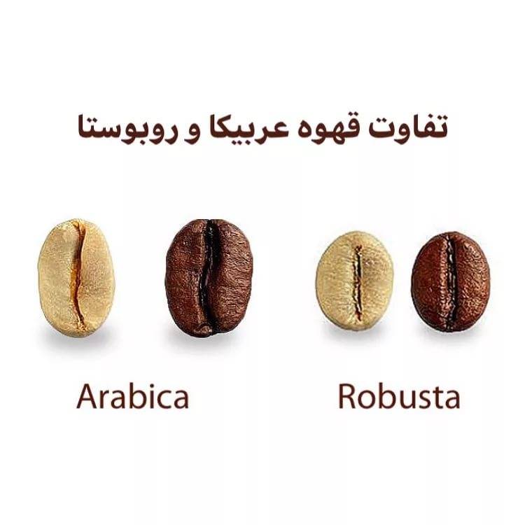Робуста кофе - что это такое, общая информация, разновидности, отличие от арабики