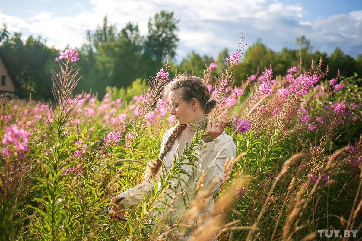 Чай из крапивы: полезные свойства, заваривание, отзывы