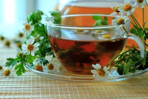Как правильно заваривать и пить ромашковый чай