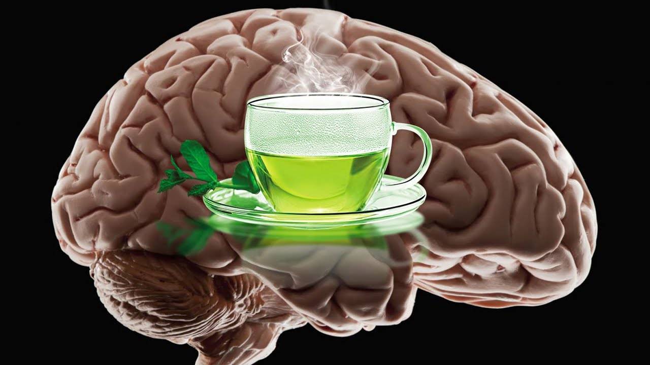 Ученые рассказали о влиянии кофе на мозг человека | forpost