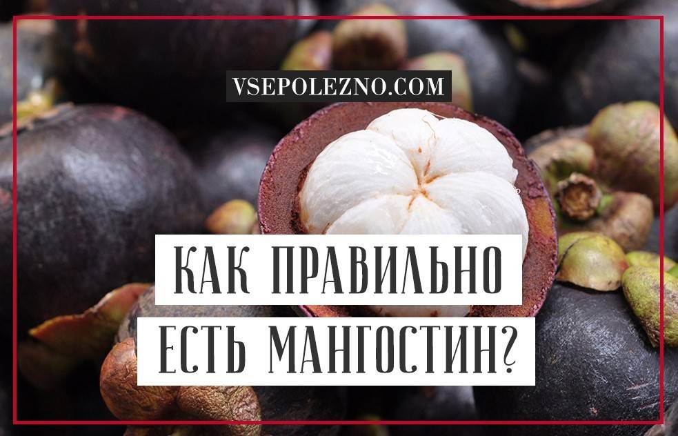 Что такое мангустин и помогает ли он похудеть? отзывы :: syl.ru