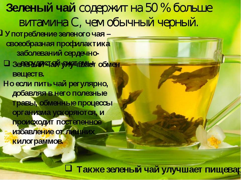 Зеленый чай: польза и вред для похудения и в целом для здоровья всего организма