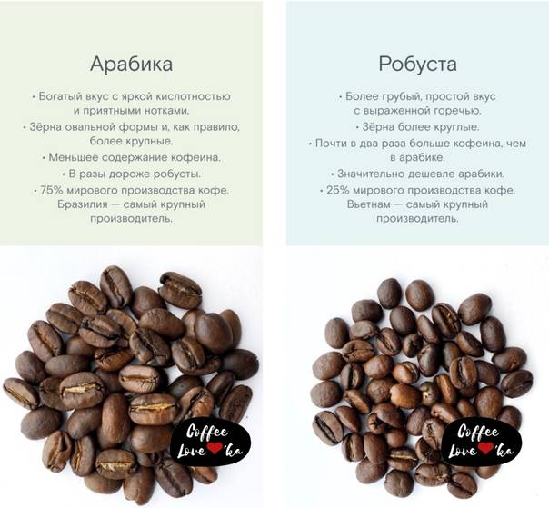 Арабика кофе (arabica): общая информация, свойства и критерии выбора кофе в зернах или молотый