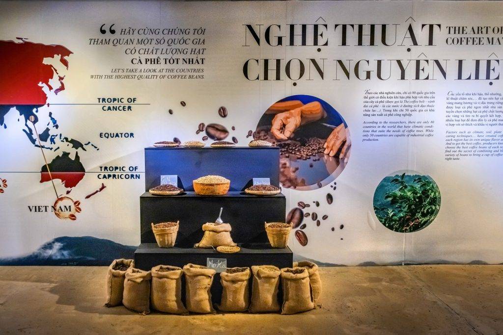 Кофейная индустрия во Вьетнаме – втором экспортере зерен в мире