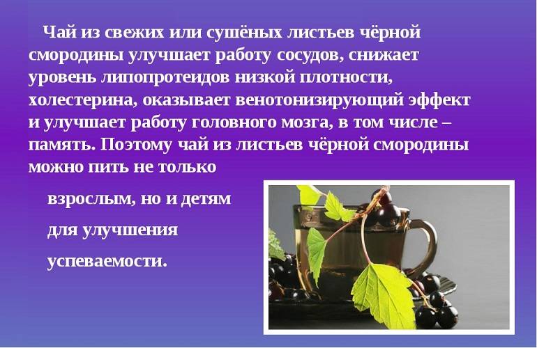 Чай ферментированный из листьев черной смородины рецепт с фото пошагово - 1000.menu