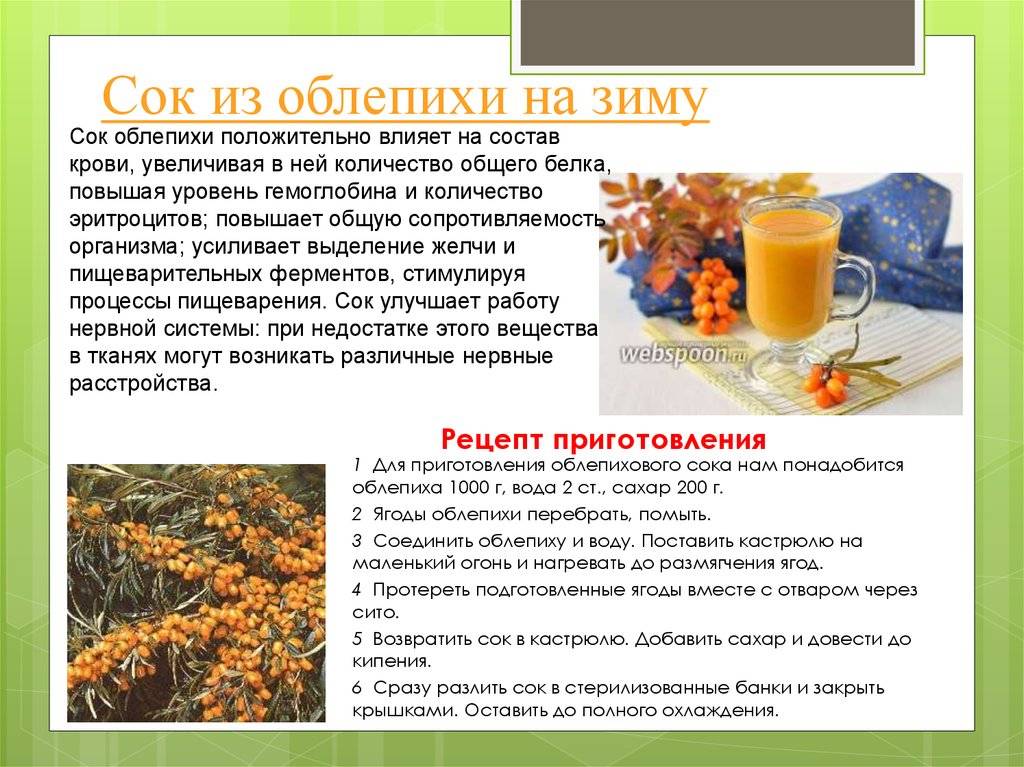 Ученые выявили неожиданные свойства зеленого чая - hi-news.ru