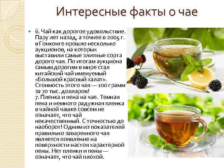 Чай из стевии: описание, полезные свойства и рецепты приготовления