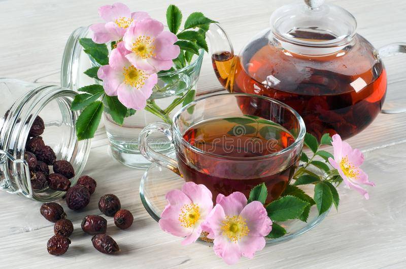 Чай с эхинацеей: полезные свойства и рецепты. как приготовить чай из эхинацеи