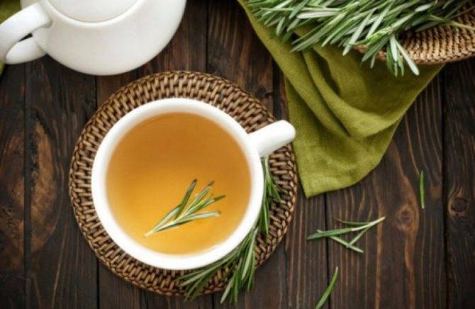Как приготовить хвойный чай с сосновыми или еловыми иголками