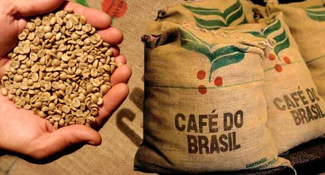 Популярные сорта бразильского кофе