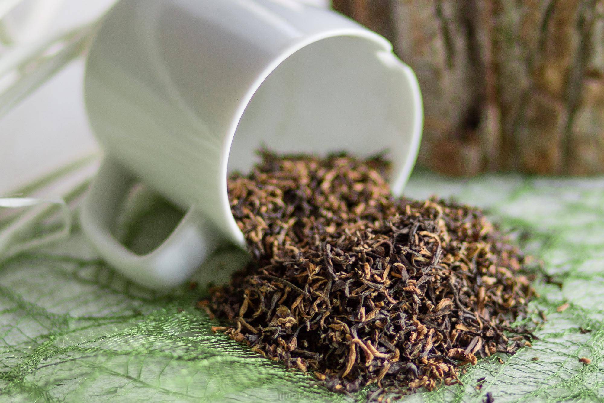 Что такое чай с типсами. Чай монастырский. Типсовый чай. Элитные сорта чая. Монастырский чай зеленый.
