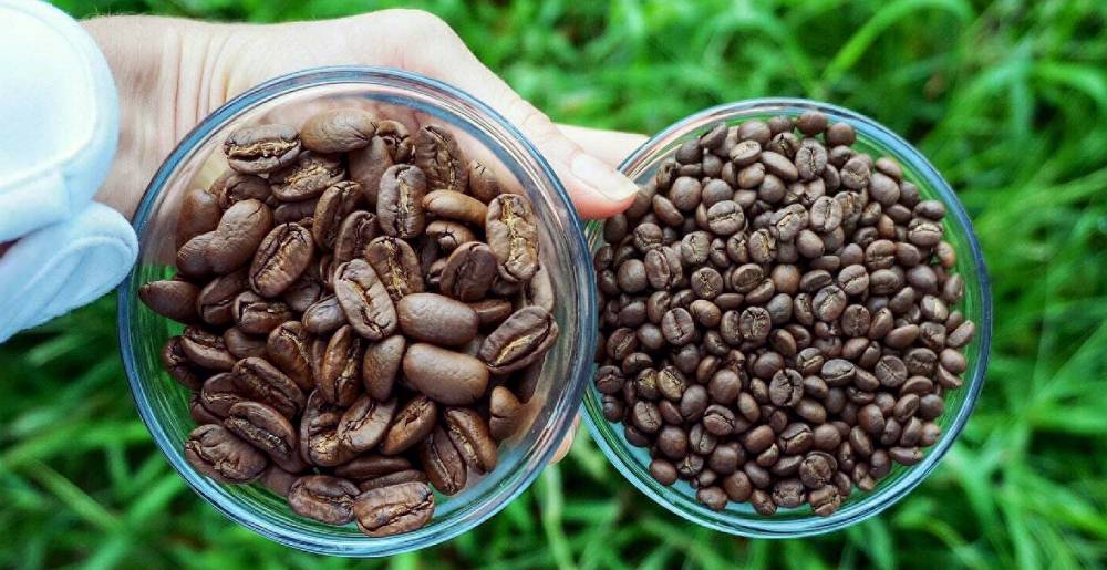 Список сортов кофе - list of coffee varieties