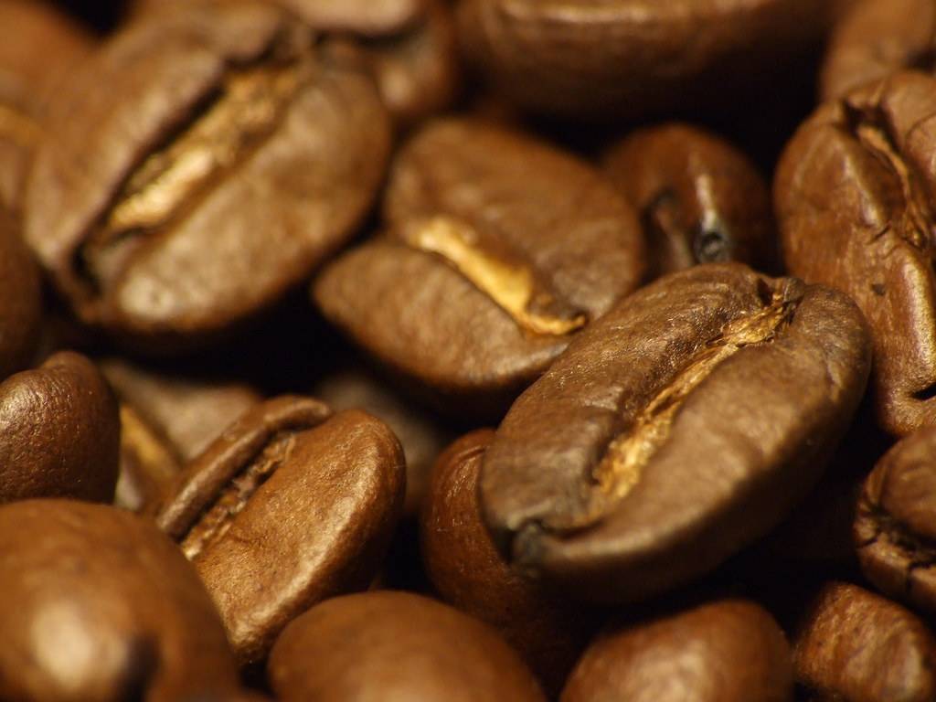 Какой кофе самый вкусный, а какой лучше бодрит? итоги теста