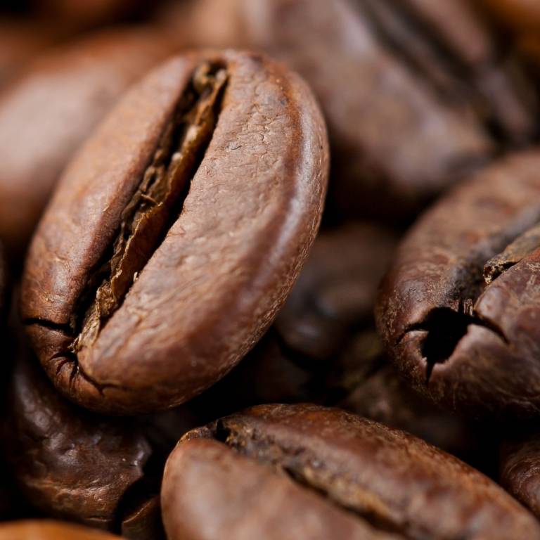 Мексика как производитель кофе - сорта мексиканского кофе