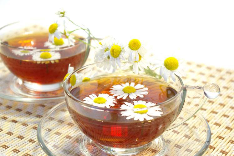 Ромашковый чай: чем полезен и чем вреден - семейная клиника опора г. екатеринбург