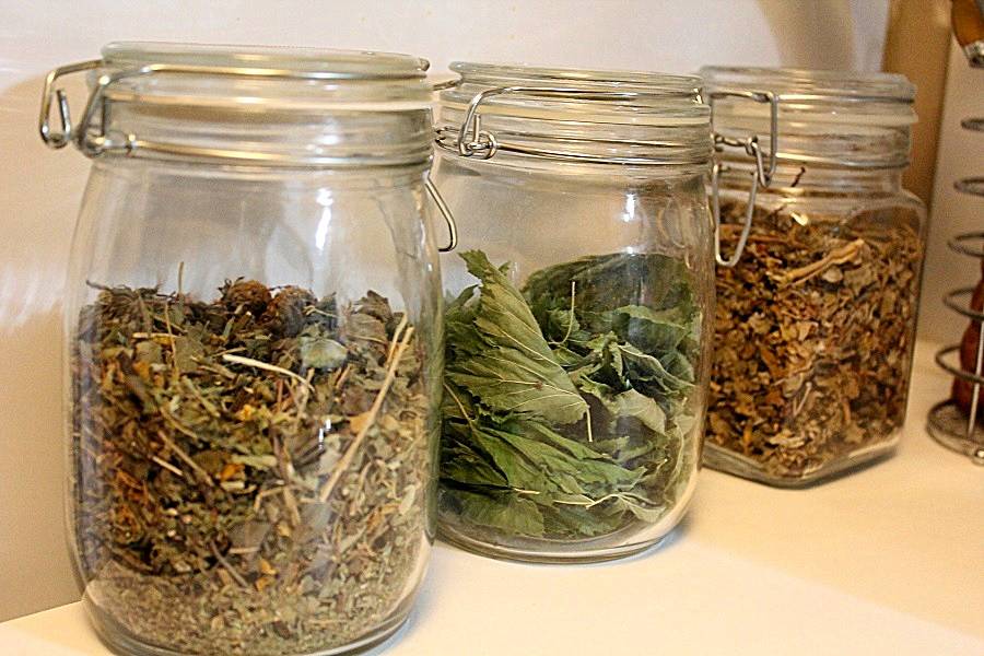 Как правильно заготовить листья малины на зиму для чая в домашних условиях