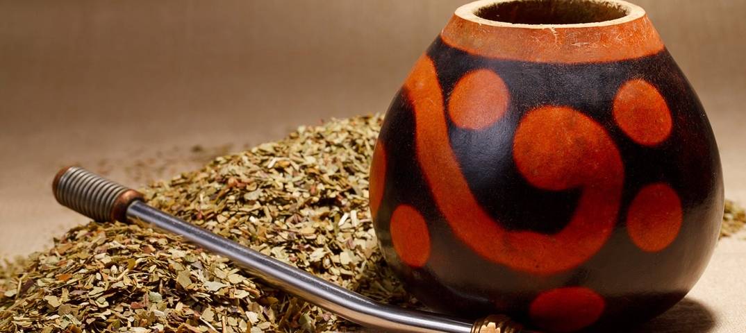 Чай мате (матэ): свойства, польза и вред, состав, отзывы, заваривание