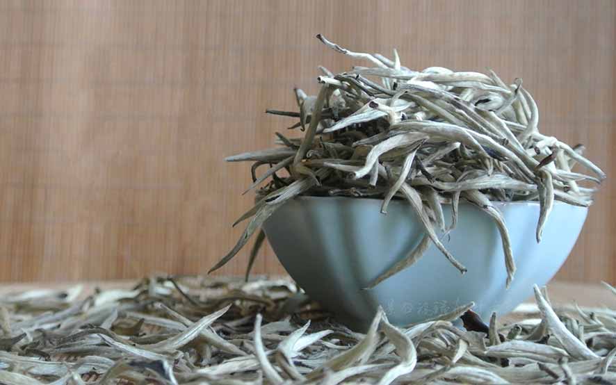 Чай кудин - польза и вред для организма мужчины и женщины. полезные свойства и противопоказания