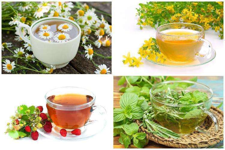 6 рецептов вкусного чая с калиной и его полезные свойства