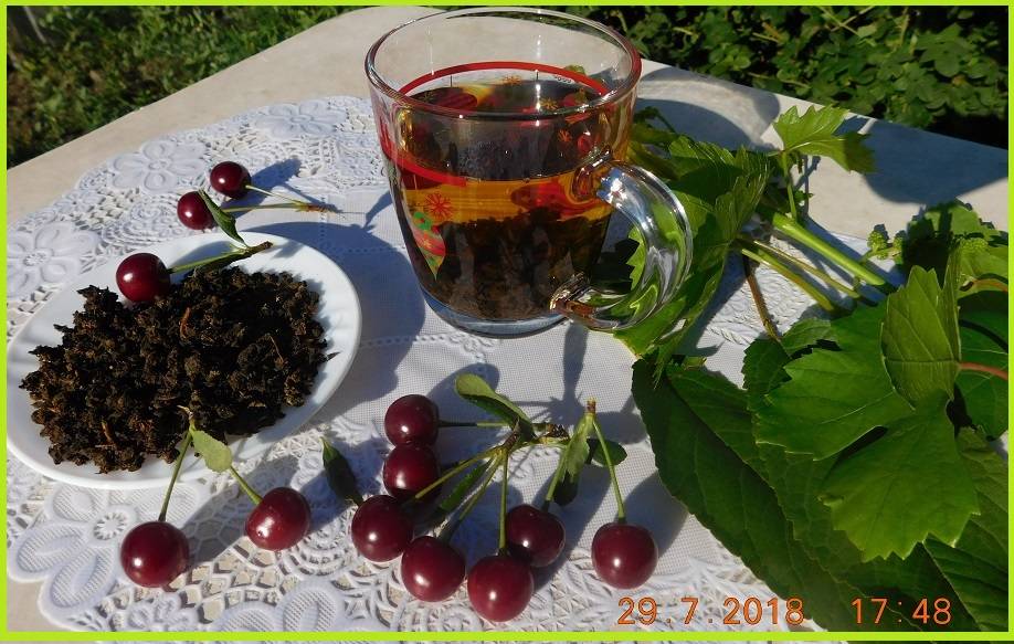 Как ферментировать листья вишни для чая в домашних условиях • siniy-chay.ru