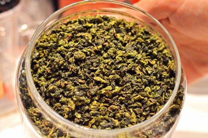 Улун женьшень (женьшеневый оолонг): полезные свойства и противопоказания китайского зеленого чая. как заваривать гранулы?
