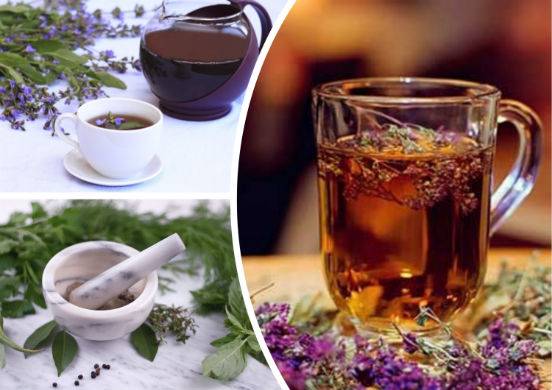 Чай с шалфеем: польза, правила заваривания, рецепты