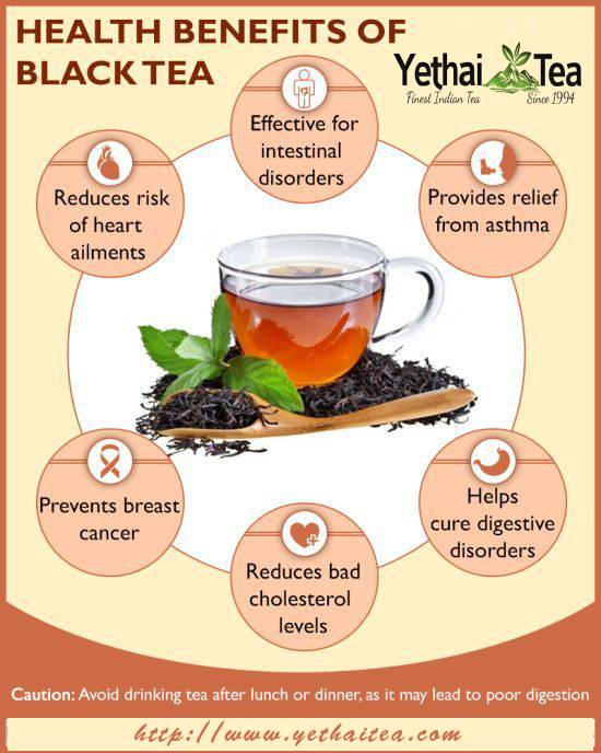 Чем зеленый чай отличается от черного?