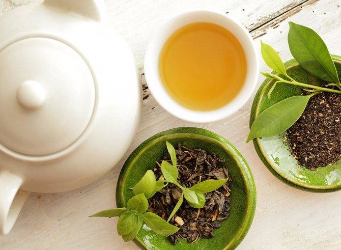 Целебный чай с расторопшей: способы применения