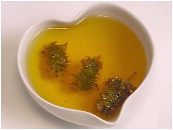 Мурсальский чай — целебные свойства