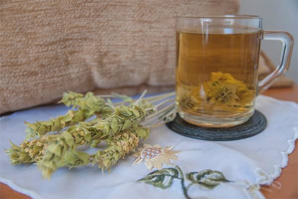 Приготовление и свойства мурсальского чая – редкого напитка из Болгарии