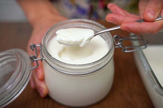 Рецепты приготовления жидкого йогурта из любого вида молока